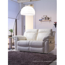 Freizeit Italien Leder Sofa Möbel (893)